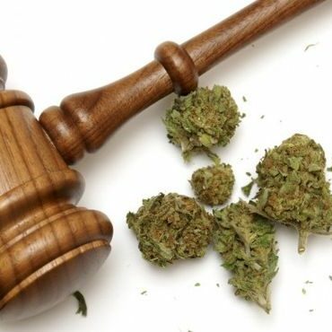 drug_charge_defense_attorney Drug Charges Defense Attorney Tampa St Petersburg